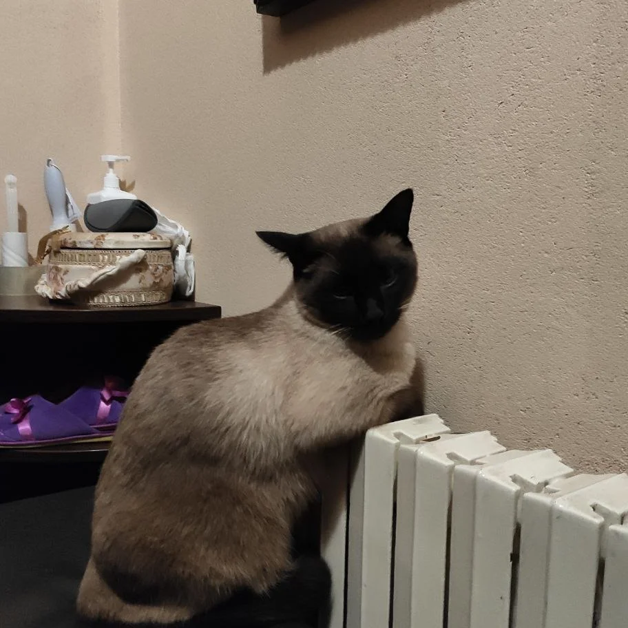 Фото автора відгука