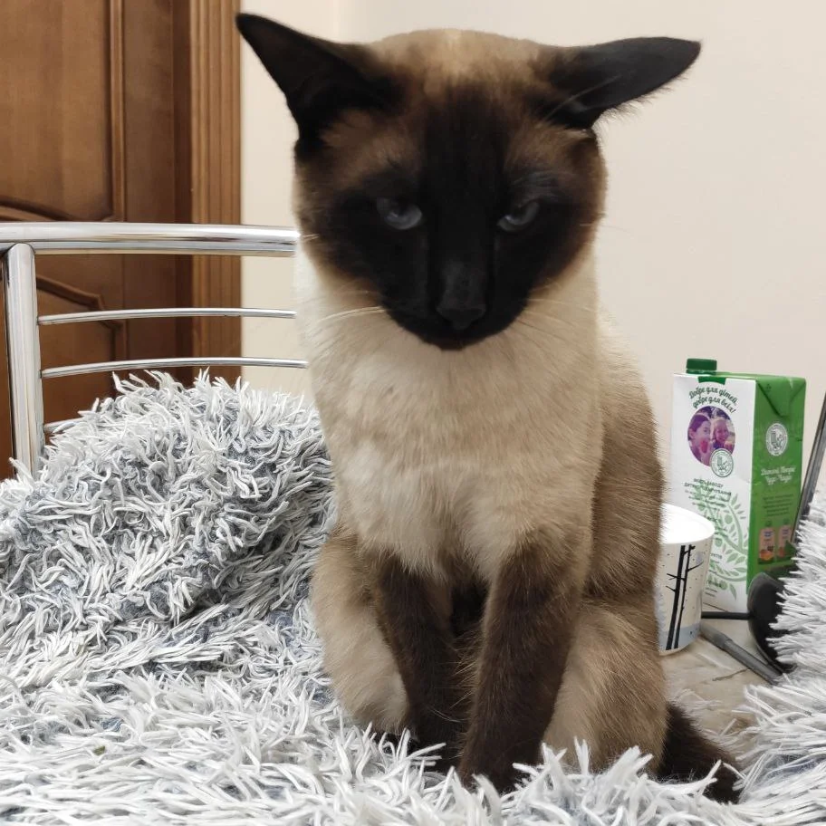 Фото автора відгука