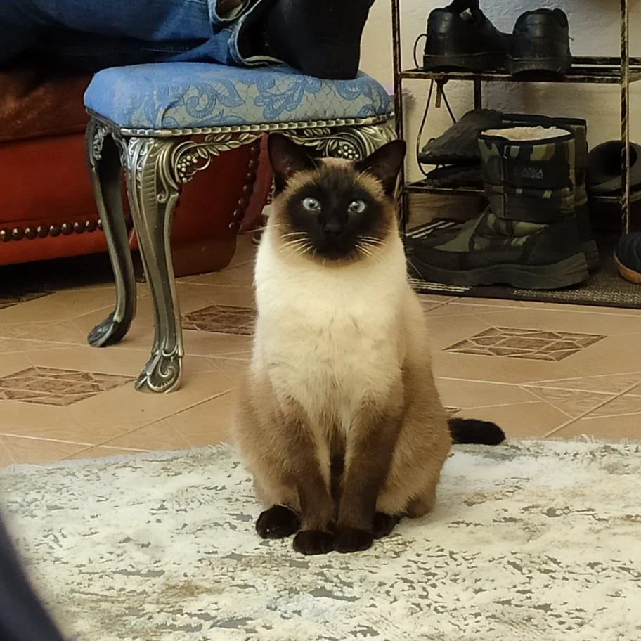 Фото автора відгука